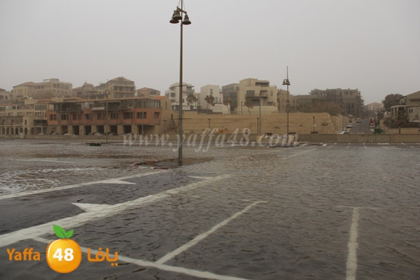 mina2 adrar jfe (13).jpg